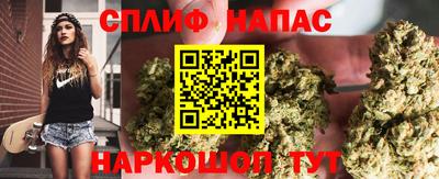 mdpv Славгород