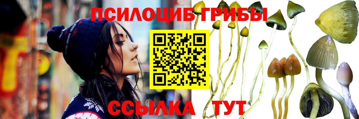 Псилоцибиновые грибы ЛСД Новосибирск